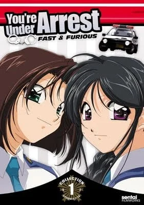 Вы арестованы! 2 Вы арестованы! 2